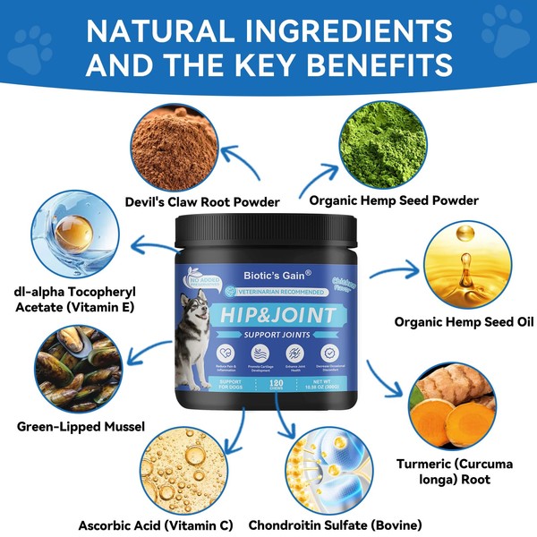 Biotic's Gain Biotic's Gain - Dog Multivitamins, 25 in 1