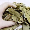 국산 햇 죽엽 대나무잎차 조릿대 600g Domestic Fresh Bamboo Leaf