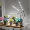 GooingTop Grow Light LED Gooseneck Lamp,Triple-Head Full Spectrum 222 LED