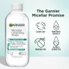 Agua Micelar Garnier Con Ácido Salicílico 400 Ml Para Pieles