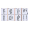 Paper Seasons FS-SST008 Sticky Note Study Tips [Muscle] Sticky Notes