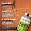 Generic Plant Based Joint Support 1000 mg with Moringa Leaves