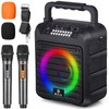 Portable Karaoke Machine for Adults with Display and Controls