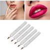 Pincel Retráctil Portátil para Labios, 5 Piezas de Nailon, Ideal