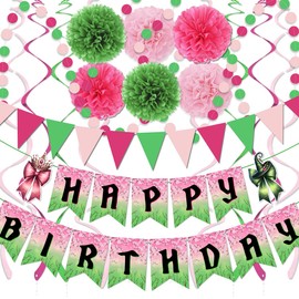 Pink and Green Birthday Decorations Happy Birthday Banner for Wicked Party Decorations Paper Pom Poms Hanging Swirl for Witch Theme Party