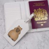 Azeeda 'Grumpy Capybara' Passport Cover & Luggage Tag Travel Set