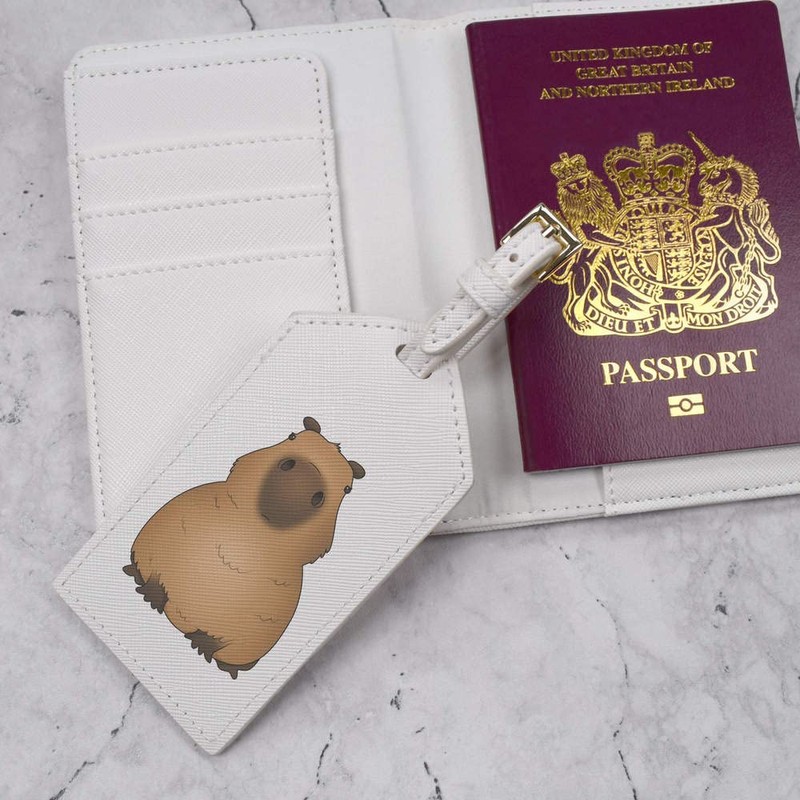 Azeeda 'Grumpy Capybara' Passport Cover & Luggage Tag Travel Set
