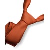 RBOCOTT Rust Tie Formal Silk Necktie for Men (Rust)