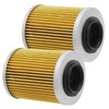 Anxingo 2 Pcs 21040111601 Oil Filter, Replacement for ODES Cartridge