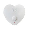 Electronics123.com Talking Heart Voice Recorder Sound Box for Stuffed Animals