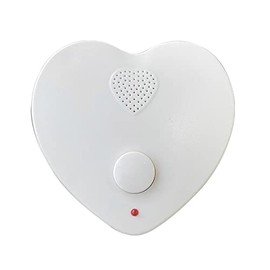 Electronics123.com Talking Heart Voice Recorder Sound Box for Stuffed Animals and Gift Boxes (White)