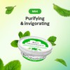 ATTITUDE Bio Absorbant Air Purifier with Activated Carbon, Plant- and