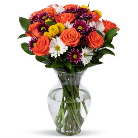 Benchmark Bouquets - Life is Good Orange (Glass Vase Included) - Fresh Flowers for Delivery - Gift for Graduation, Birthday, Anniversary, Sympathy, Get Well, Congratulations