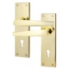 EAI Polished Brass Door Handles for Key Lock | 1