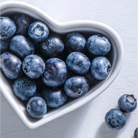 Blueberry sincere immune fatigue recovery food 1 piece, 1 tablet / 블루베리 정성 면역 피로회복 식품 1개 1개, 1정