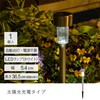 Takeda Corporation SLH-79 Stainless Steel Solar Light