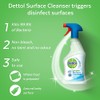 Reckitt Benckiser Dettol Anti Bacterial Surface Cleanser 500 ml