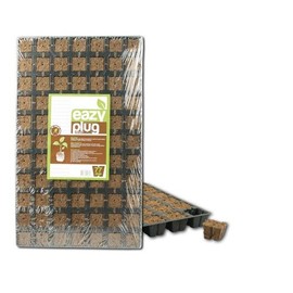 Eazy Plug Cuttings Blocks Tray with 77 Pieces