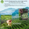 XIXICHA Jasmine Pearls Tea Jasmine Green Loose Leaf Dragon Balls