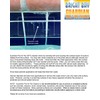 Calcium Releaser & Scum Line Remover- Guardian Pool & Tile