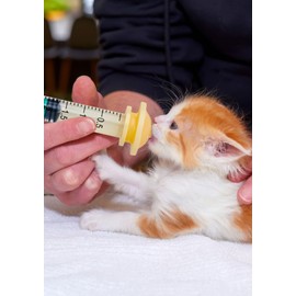 25Pack 3ml/cc Luer Lock Syringe, Lab Use Disposable Individual Package with 23Ga 1 Inch (Green)