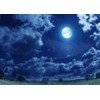 Loccor 5x4ft Fabric Night Sky Backdrop Full Moon Clouds Lawn