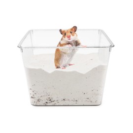 Wontee Hamster Sand Bath Sand Box Container Digging Hamster Bathroom for Hamsters Mice Syrian Hamsters Gerbils Small Animals (Square- 7.9" x 5.9")