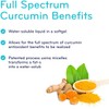 SISU - Full Spectrum Curcumin (NovaSol) 30 softgels