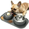 Dog Licking Bowl with Rolling Ball,Food and Water Bowl Set