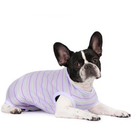 Puppy Striped Recovery Suit for Female Male Dogs Cats,Zip Up Dog Onesie Recovery Shirt Abdominal Wounds,Professional Spay Neuter Dog Pet Bodysuit After Surgery Wear Anti Licking Wounds