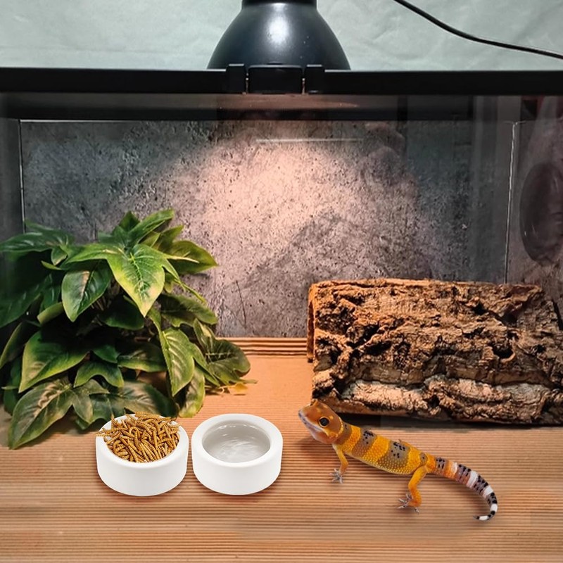 3 Pack Small Reptile Feeding Bowl Ceramic Food and Water