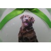D196 Hand-made Christmas Ornament dog - Chesapeake Bay Retriever -