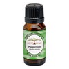 All Naturals 100% Pure Peppermint Essential Oil (Up, India) For