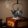 Iron Teapot Kettle Uncoated with Strainer 0.3L Tea and Zen
