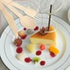 Vktech Disposable Wooden Spoon, Economical Pack of 100