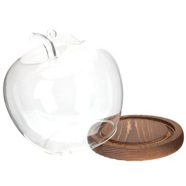 Zerodeko Miniature Glass Bell Jar Decorative Glass Flower Cover for Valentine's Space-saving Flower Holder