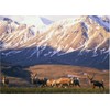Expeditionen ins Tierreich - Abenteuer Yukon [2 DVDs]