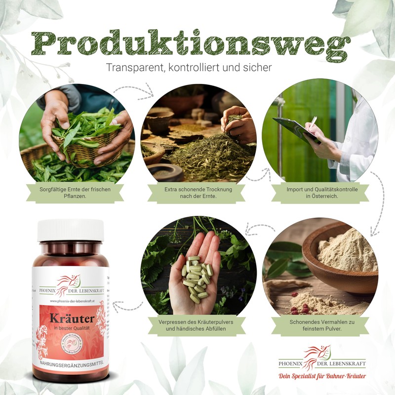 Red Root Sage Tablets - 450 mg Active Ingredient, Salvia