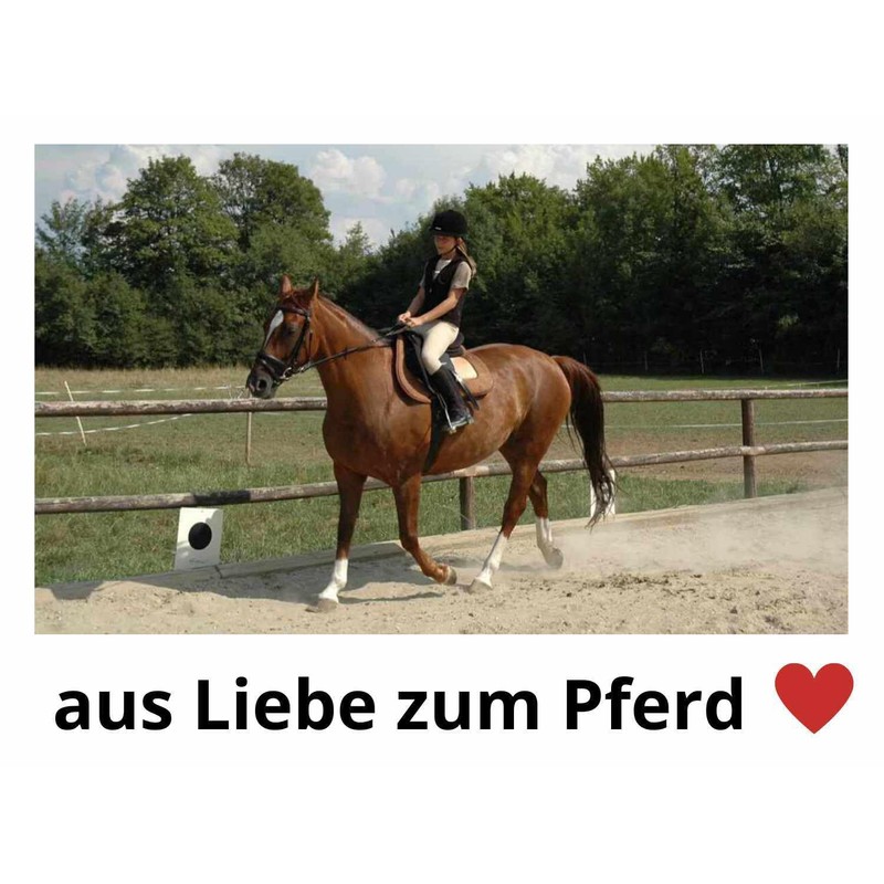 Amesbichler Reitsport HorseGuard Spur Strap Black