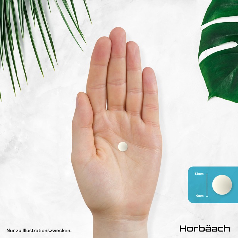 Kalzium Hochdosiert Komplex mit Vitamin D3 Zink | 200 Kalzium