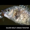 Daiwa Silver Wolf Urban Twister 2.5 Green Pumpkin
