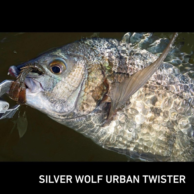 Daiwa Silver Wolf Urban Twister 2.5 Green Pumpkin