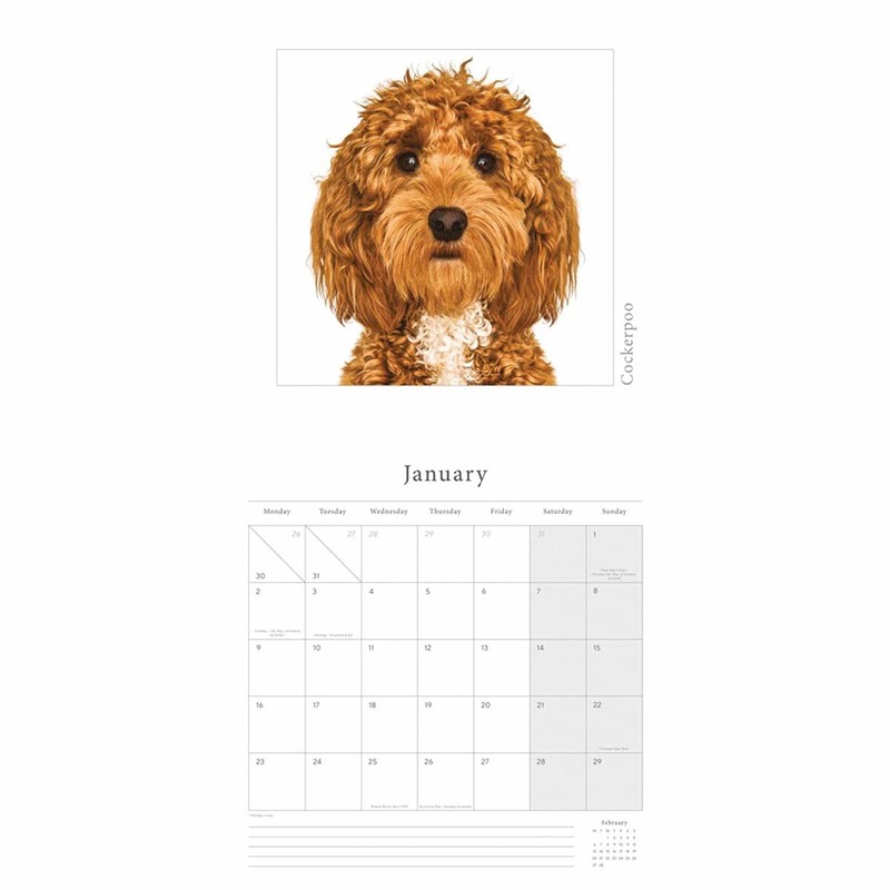 Wall Calendars 2023 by Portico Designs (Gruff Pawtraits Square Calendar)