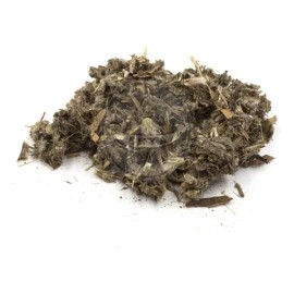 Cardo Mariano 500gr Para Preparar Té O Infusión