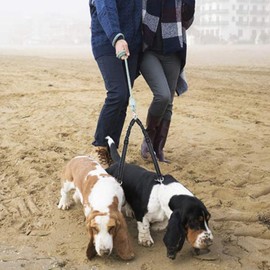 Dual Dog Leash 360 Swivel Rotation Bungee Stretch Reflective for Medium Large