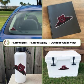 Desert Cactus Shaw University Sticker Bears Vinyl Decal Laptop Water Bottle Car Scrapbook (IND 2)