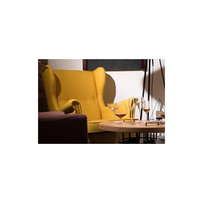 RONA Champagne Saucer Glass | Set of 6 | 12