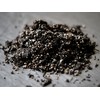 MycoHaus Mushroom All in One Growing Kit with Injection Ports