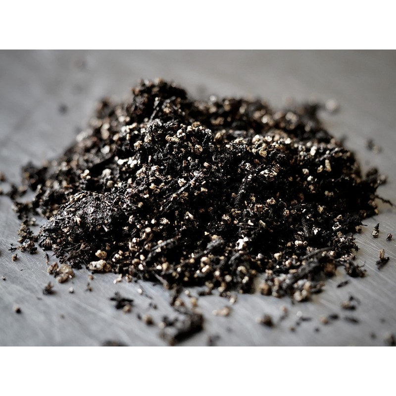 MycoHaus Mushroom All in One Growing Kit with Injection Ports