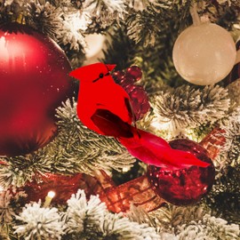 YCHTEWY-Cardinal Clip On Christmas Tree Ornament Decorations - Red Feathers Set of 12 Pieces Each is 4" Lon…